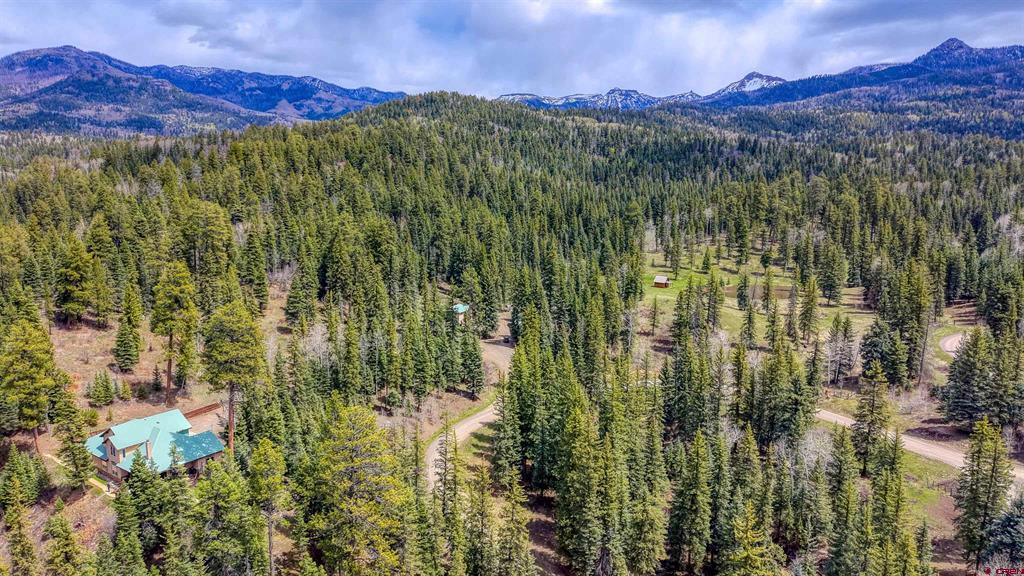 2368A Needles View Place Pagosa Springs CO 81147