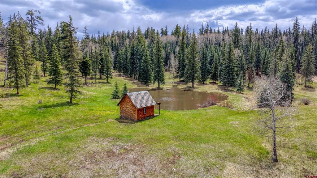 2368A Needles View Place Pagosa Springs CO 81147