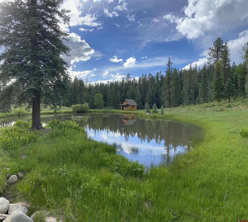 2368A Needles View Place Pagosa Springs CO 81147