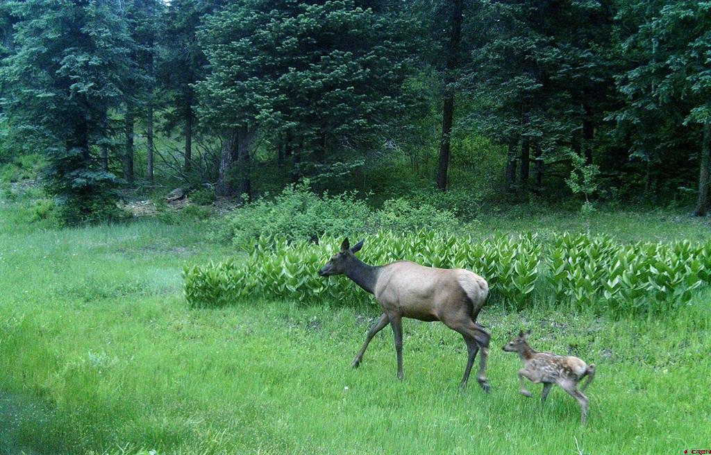 2368A Needles View Place Pagosa Springs CO 81147