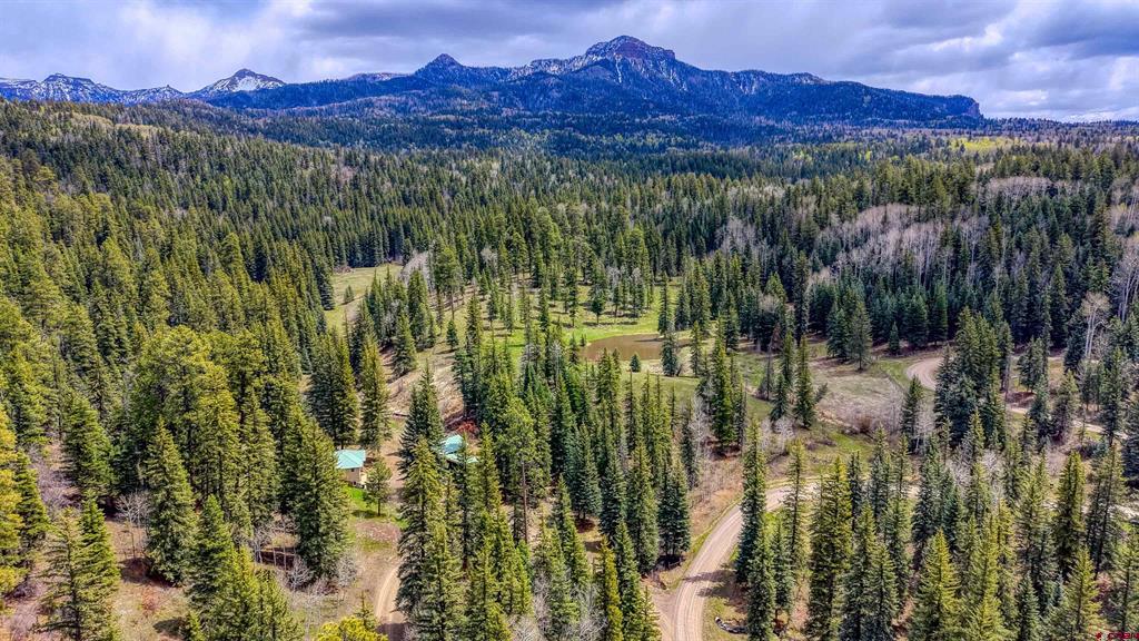 2368A Needles View Place Pagosa Springs CO 81147