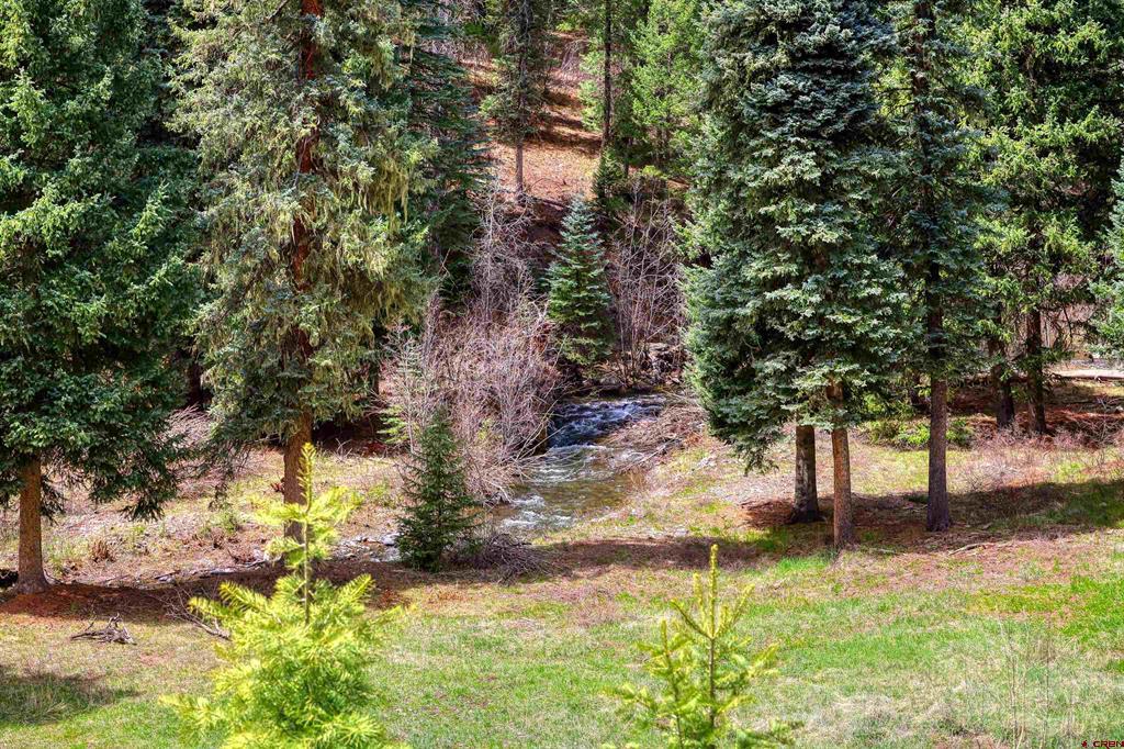 2368A Needles View Place Pagosa Springs CO 81147