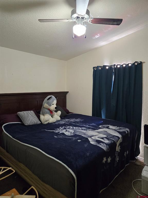 115 Surrey Drive Pagosa Springs CO 81147