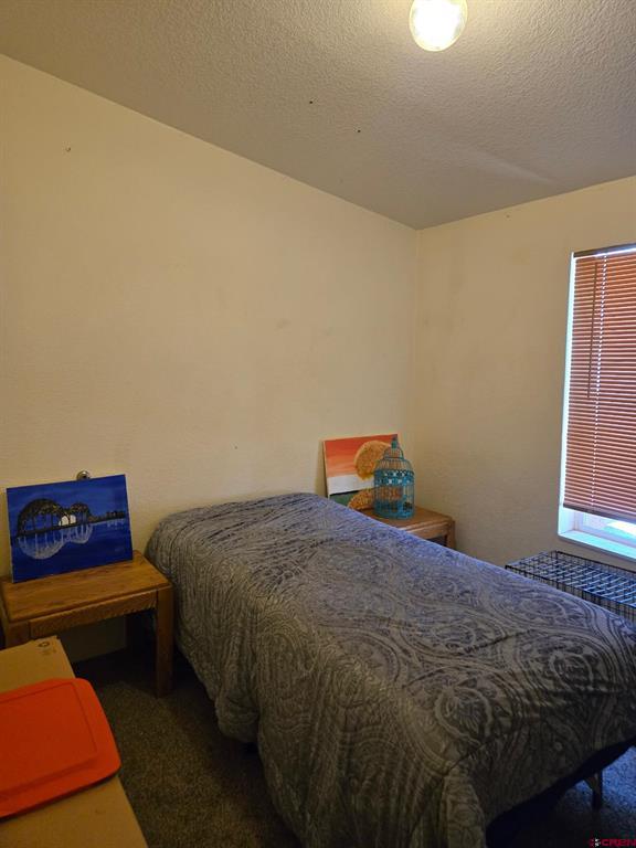115 Surrey Drive Pagosa Springs CO 81147