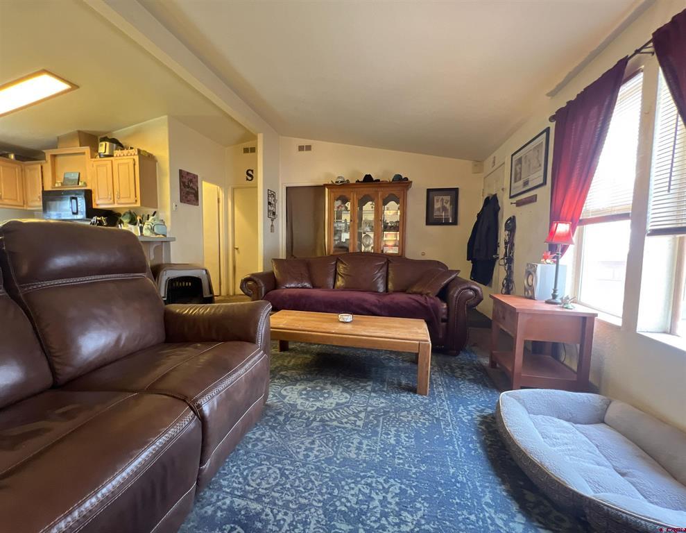 115 Surrey Drive Pagosa Springs CO 81147