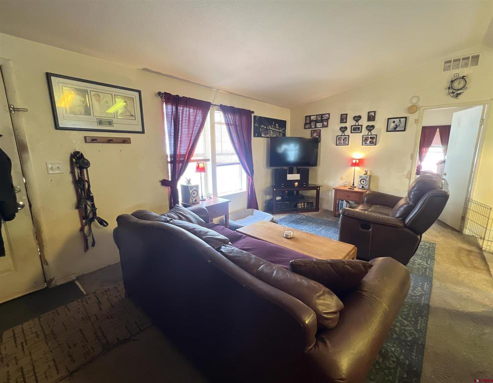 115 Surrey Drive Pagosa Springs CO 81147