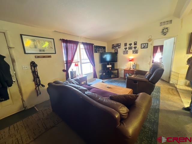115 Surrey Drive Pagosa Springs CO 81147