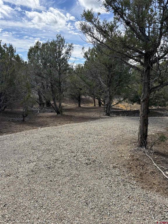 35790 Road J.8 Mancos CO 81328