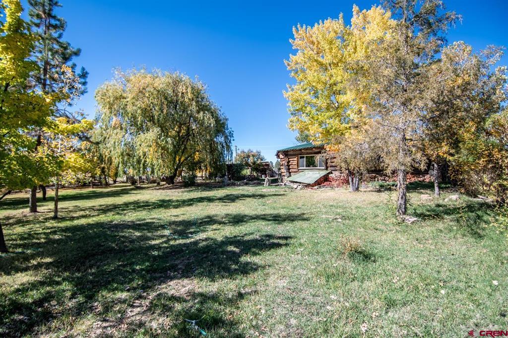 43393 Road M Mancos CO 81328