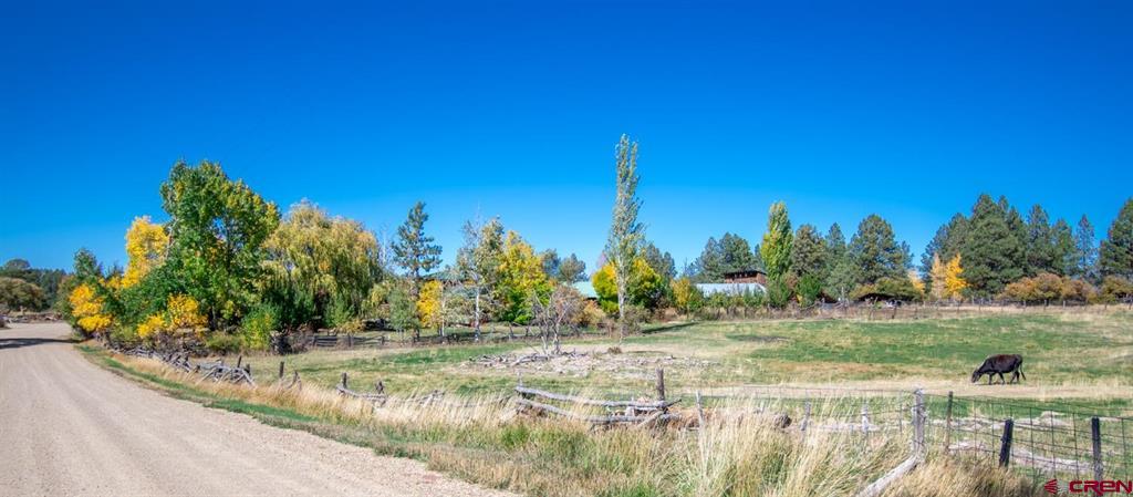 43393 Road M Mancos CO 81328