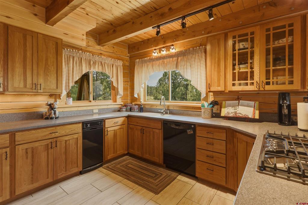 134B Greenview Drive Pagosa Springs CO 81147