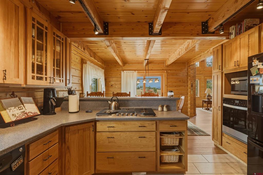 134B Greenview Drive Pagosa Springs CO 81147