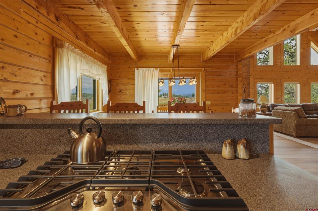 134B Greenview Drive Pagosa Springs CO 81147