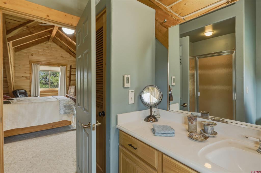 134B Greenview Drive Pagosa Springs CO 81147