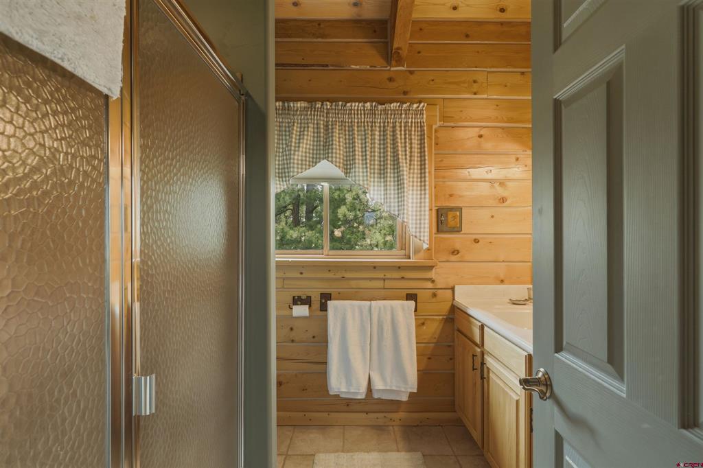 134B Greenview Drive Pagosa Springs CO 81147