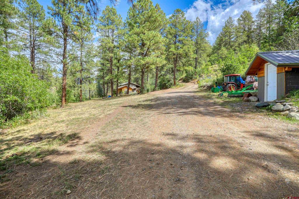 3601A Terry Robinson Road Pagosa Springs CO 81147