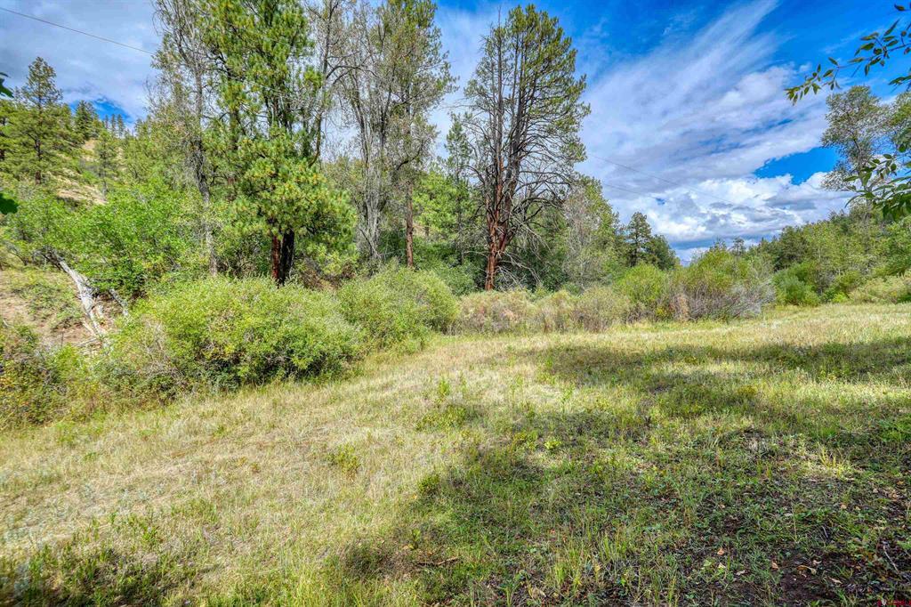3601A Terry Robinson Road Pagosa Springs CO 81147