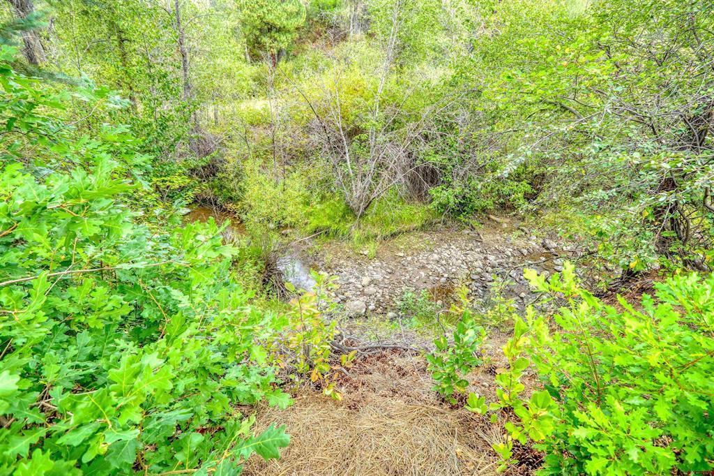 3601A Terry Robinson Road Pagosa Springs CO 81147