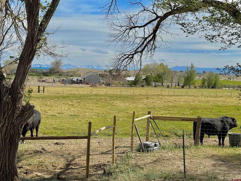 67743 Lasalle Road Montrose CO 81401