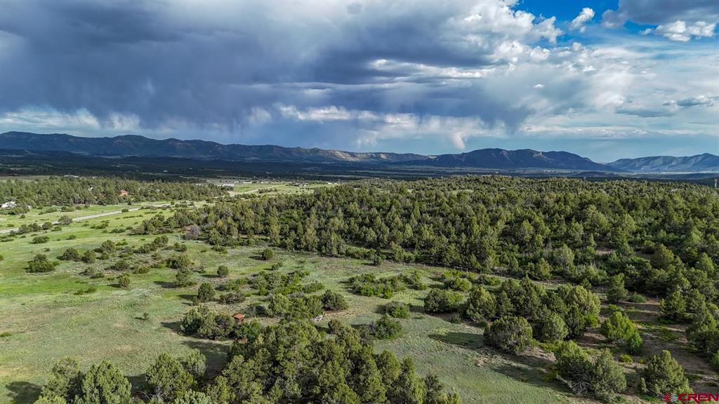 37875 Highway 184 Mancos CO 81328