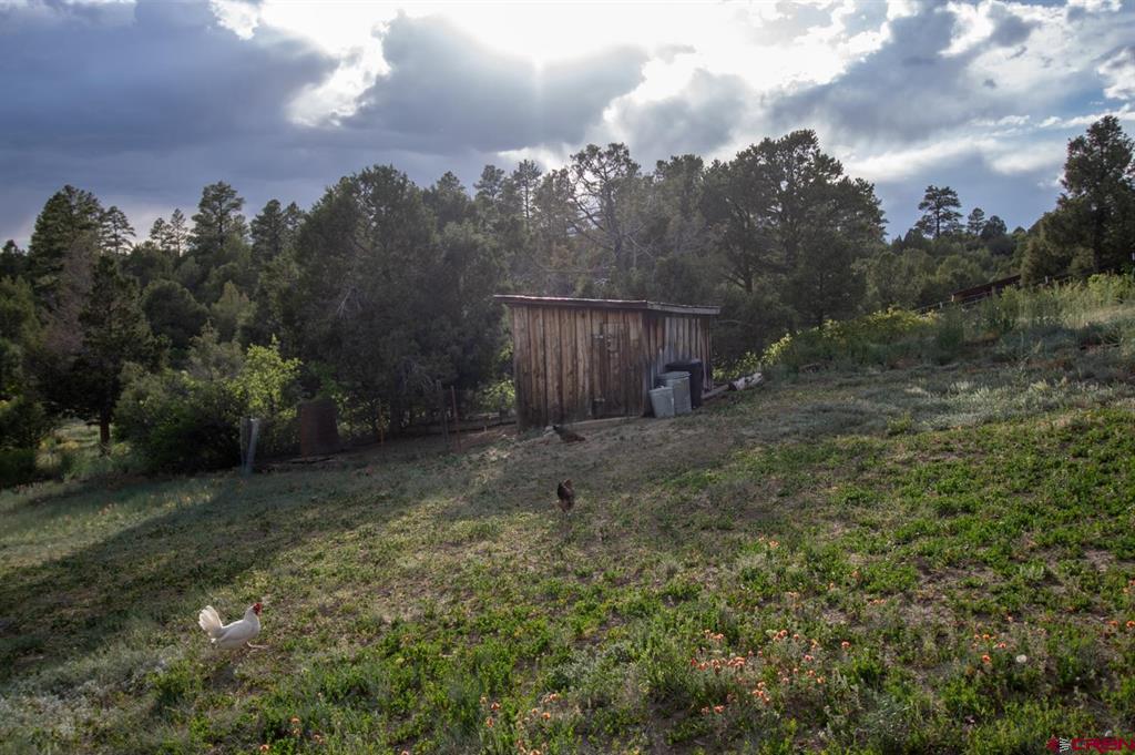 37875 Highway 184 Mancos CO 81328