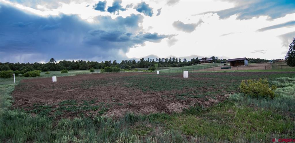 37875 Highway 184 Mancos CO 81328