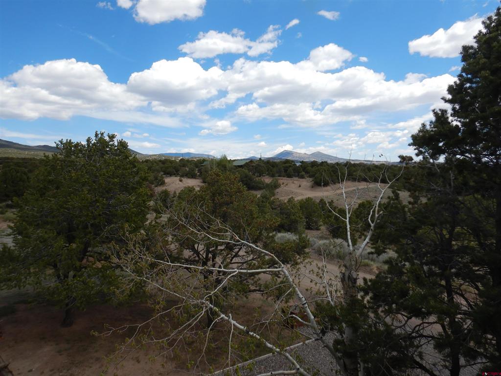 395 Kit Carson Road South Fork CO 81154