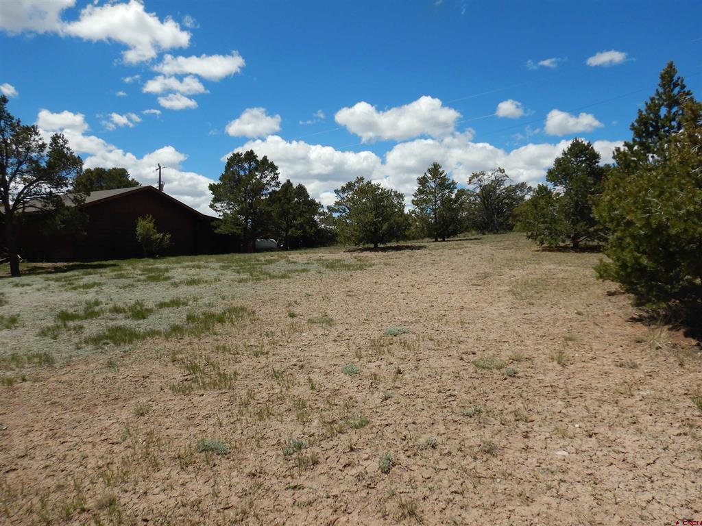 395 Kit Carson Road South Fork CO 81154