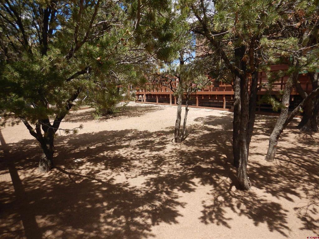 395 Kit Carson Road South Fork CO 81154