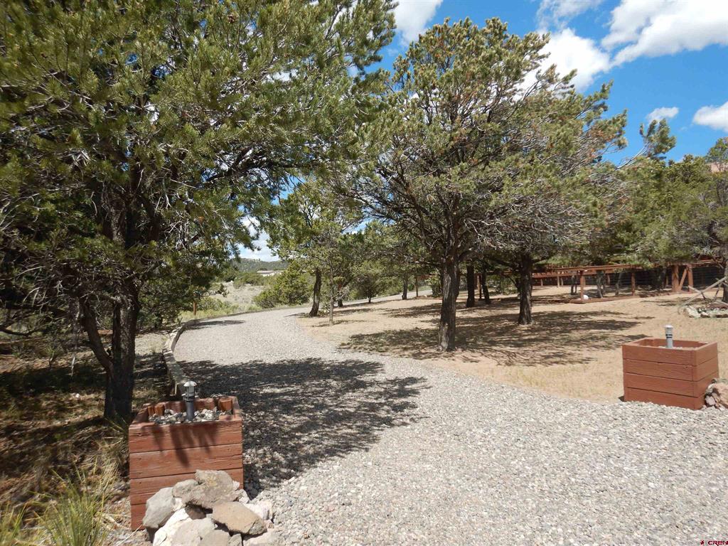 395 Kit Carson Road South Fork CO 81154
