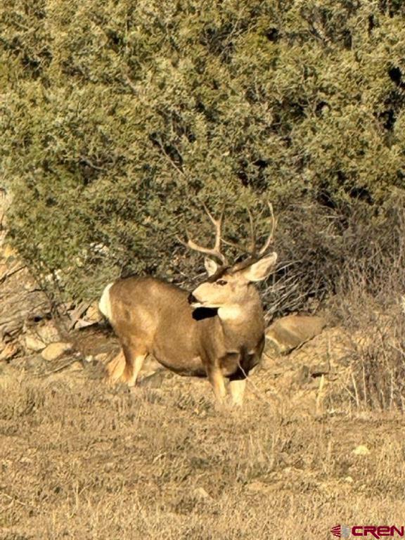 28575 County Road 500 Pagosa Springs CO 81147