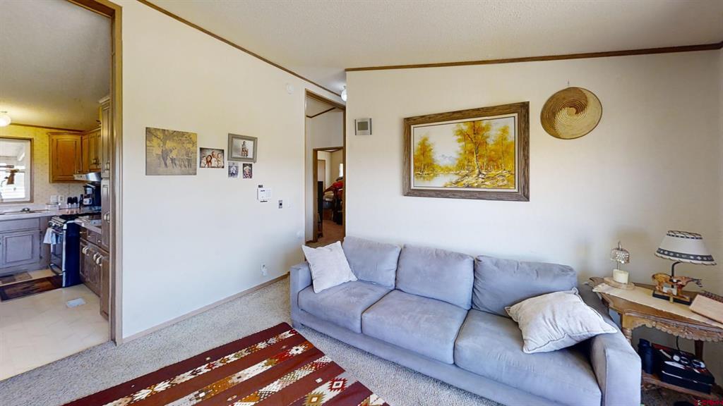 7915 St Highway 151 Ignacio CO 81137