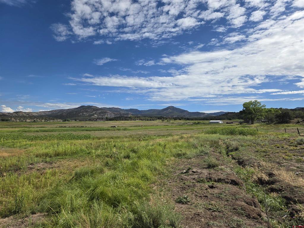 7915 St Highway 151 Ignacio CO 81137