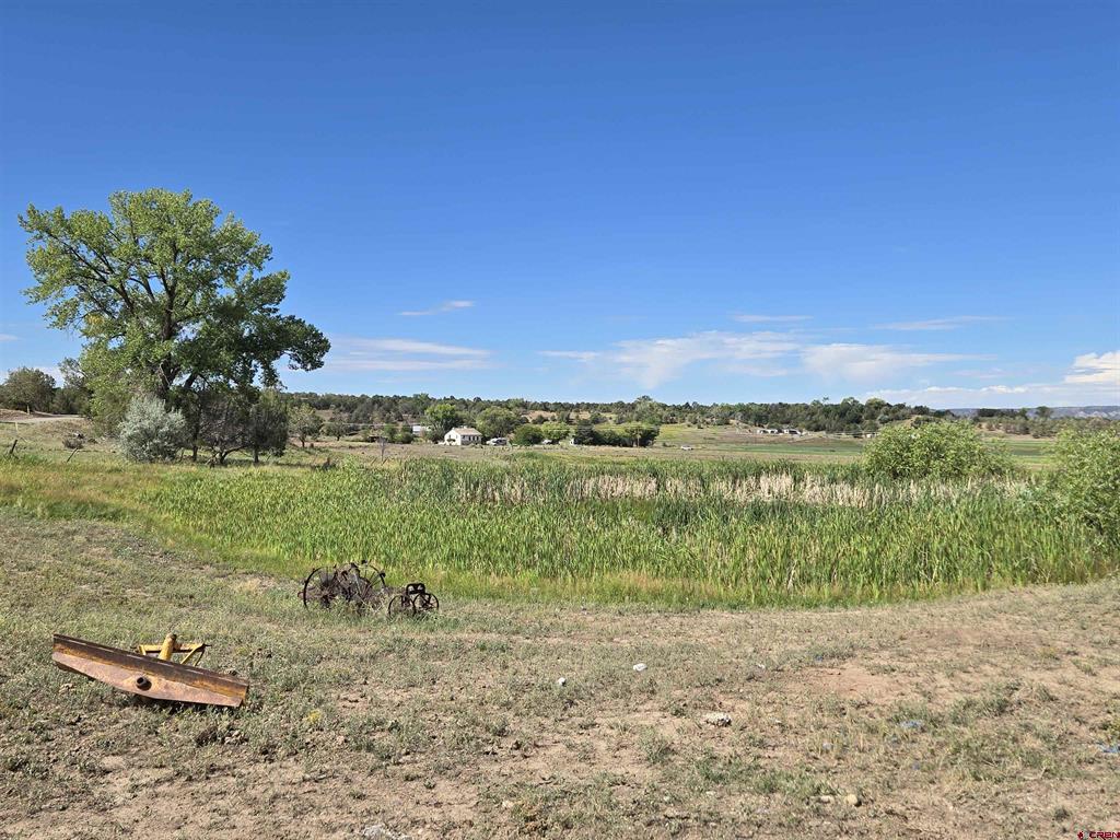 7915 St Highway 151 Ignacio CO 81137