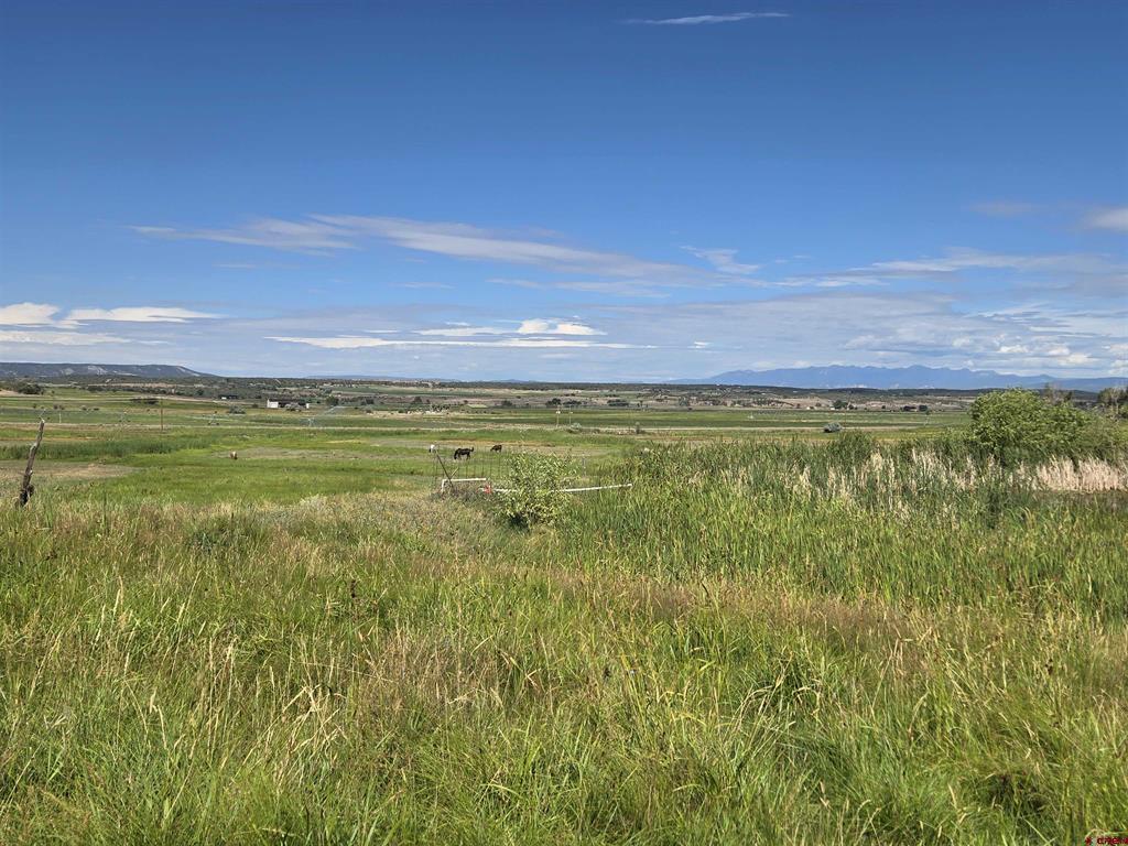 7915 St Highway 151 Ignacio CO 81137