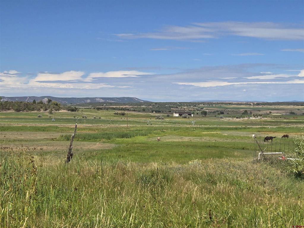 7915 St Highway 151 Ignacio CO 81137