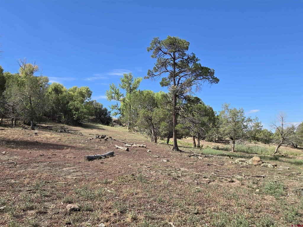 7915 St Highway 151 Ignacio CO 81137