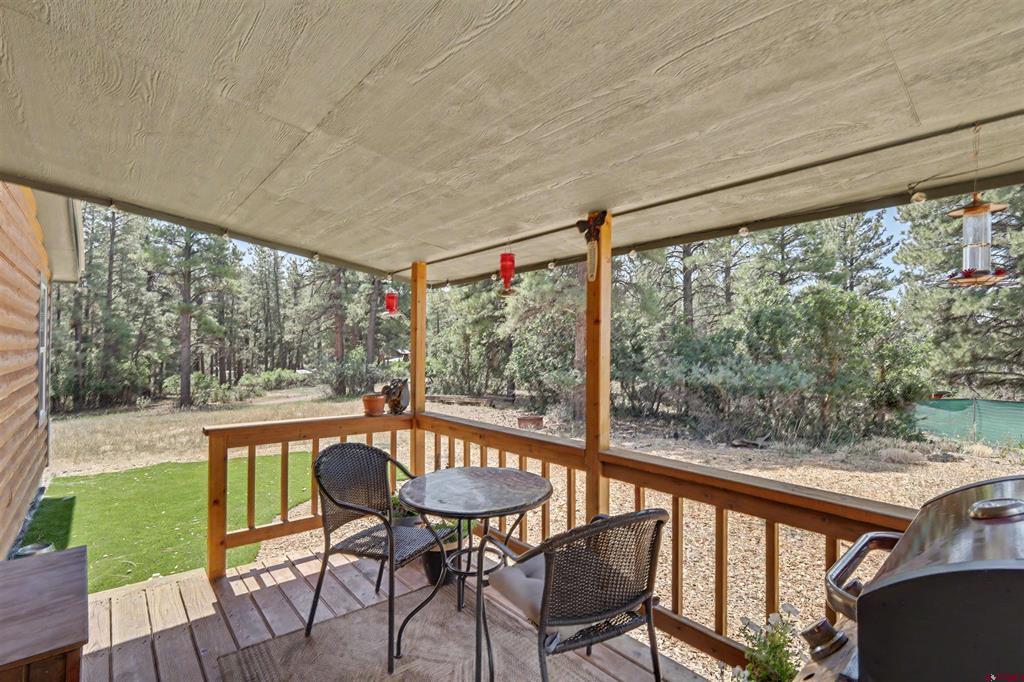 436 Elk Drive Pagosa Springs CO 81147