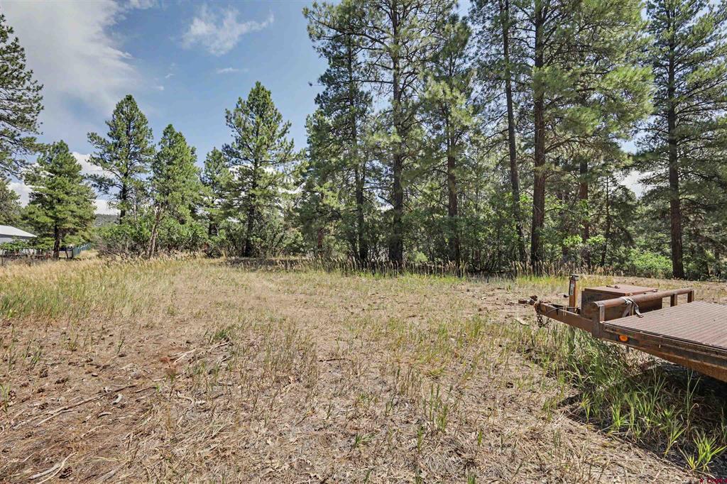 436 Elk Drive Pagosa Springs CO 81147