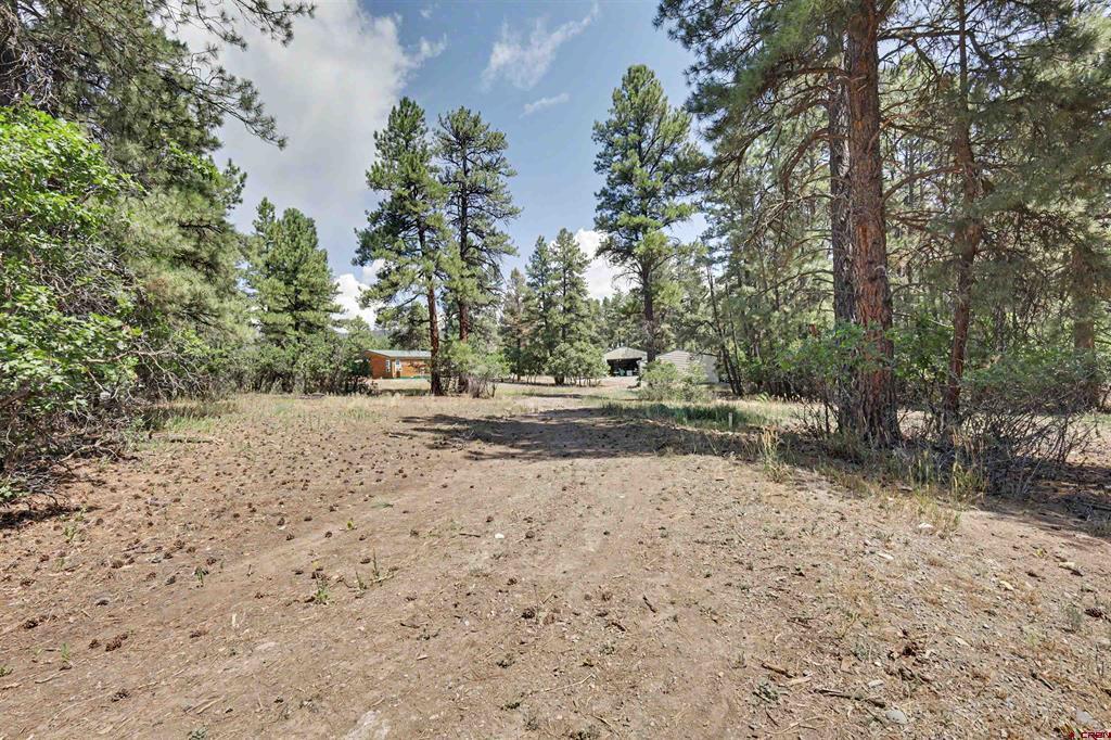 436 Elk Drive Pagosa Springs CO 81147