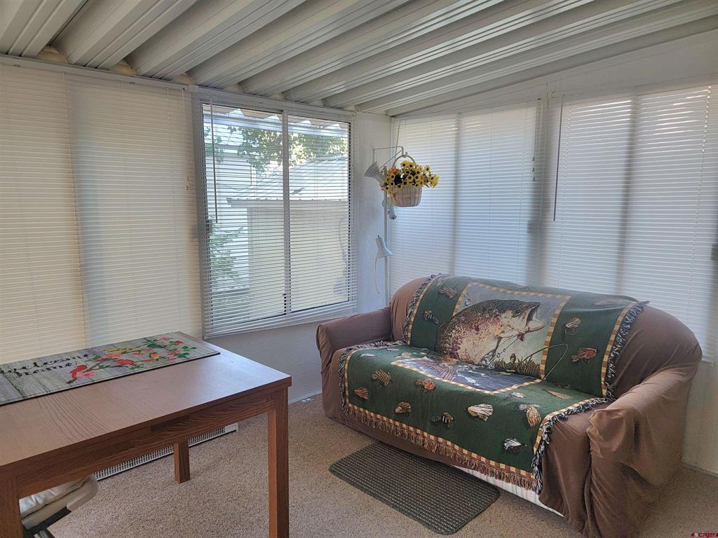 57 Denette Lane South Fork CO 81154