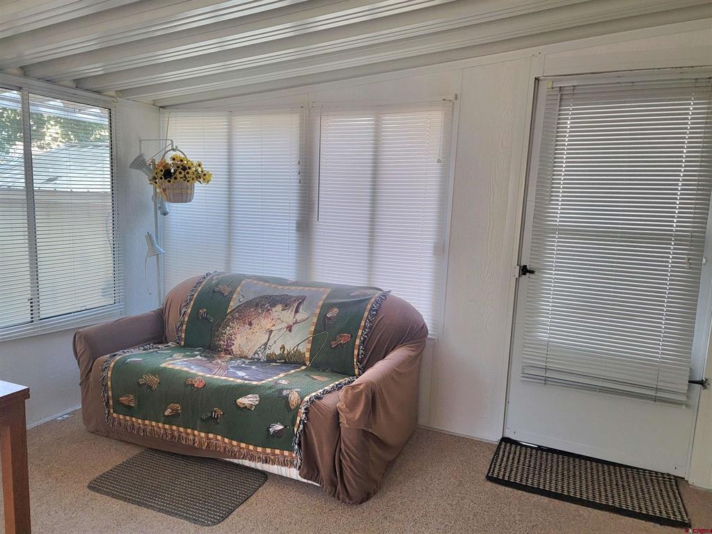 57 Denette Lane South Fork CO 81154