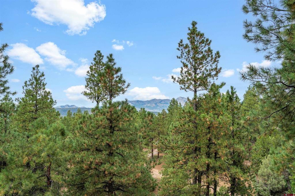 256 Browns Lake Road Durango CO 81303