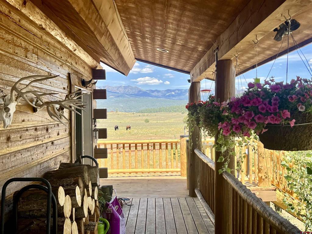 2439 County Road 359 Pagosa Springs CO 81147