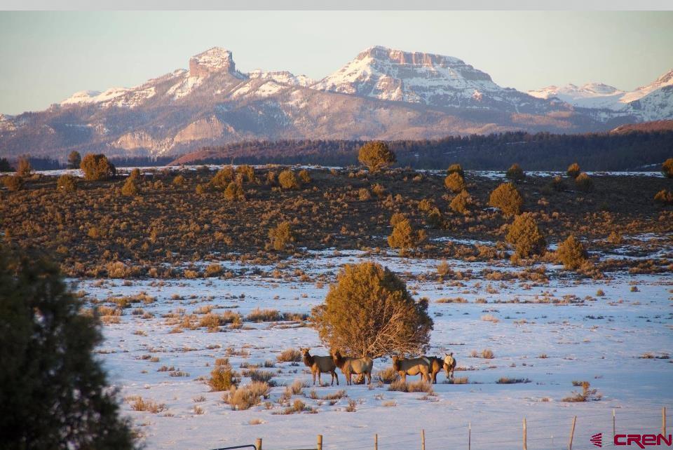 2439 County Road 359 Pagosa Springs CO 81147