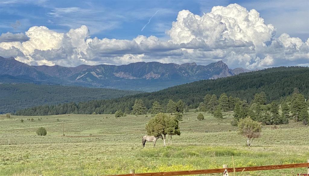 2439 County Road 359 Pagosa Springs CO 81147