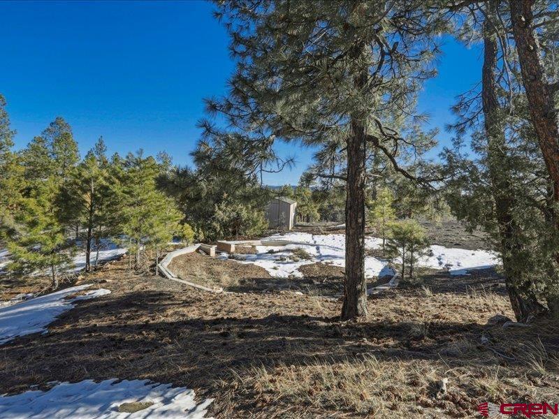 741 Majestic Drive Pagosa Springs CO 81147