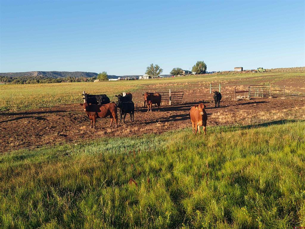 1044 Cr 314 Ignacio CO 81137