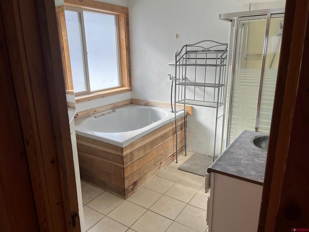 214 N Amelia Street Ridgway CO 81432