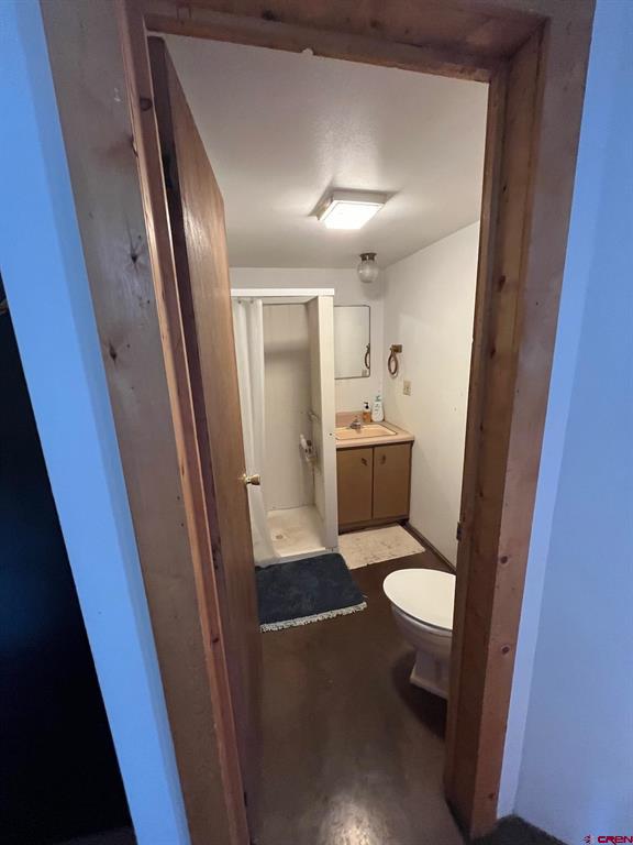 214 N Amelia Street Ridgway CO 81432